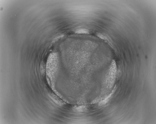 X0000088030186200706011359