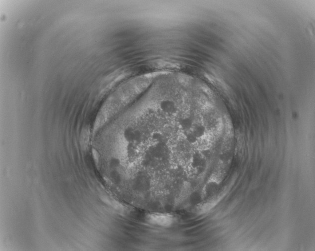 X0000088030189200706011359