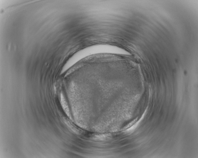 X0000088030190200706011359