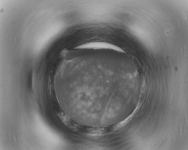 X0000088030191200706011359