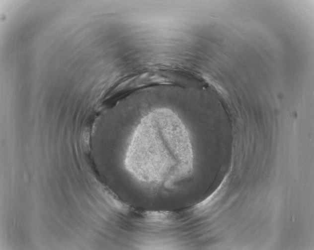 X0000088030192200706011359