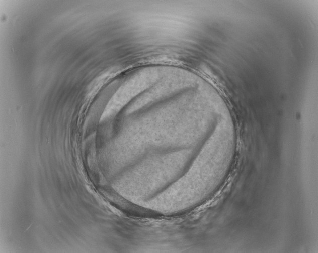 X0000088030193200706011358