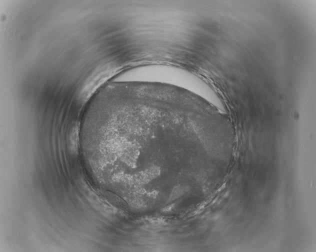 X0000088030194200706011358