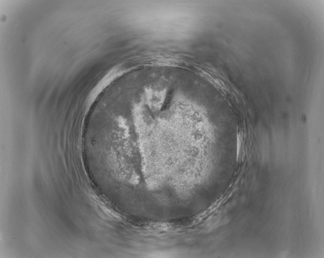 X0000088030195200706011358