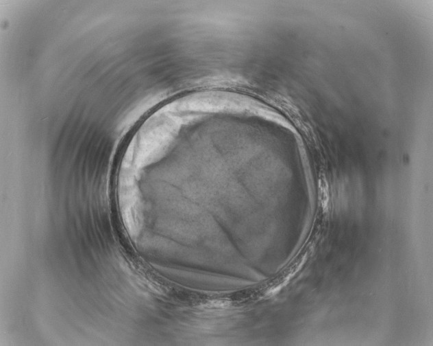 X0000088030196200706011358