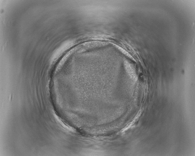 X0000088030197200706011358