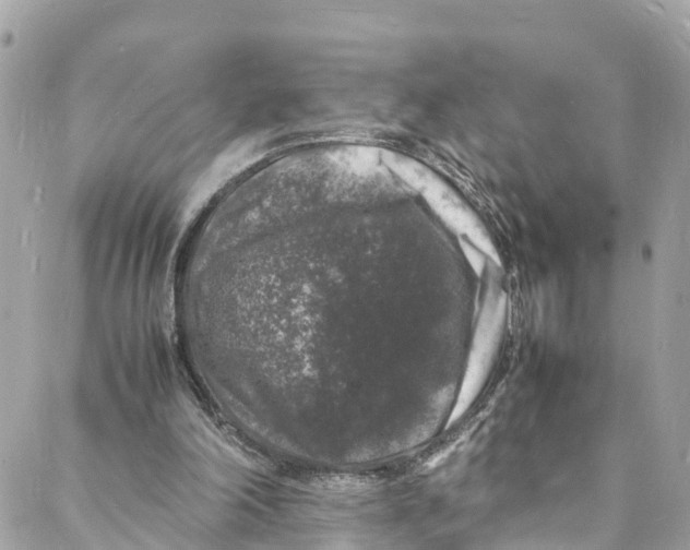 X0000088030198200706011358