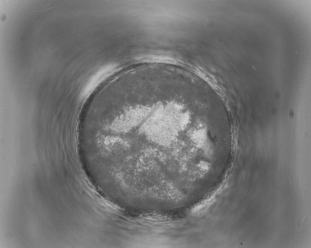 X0000088030199200706011358