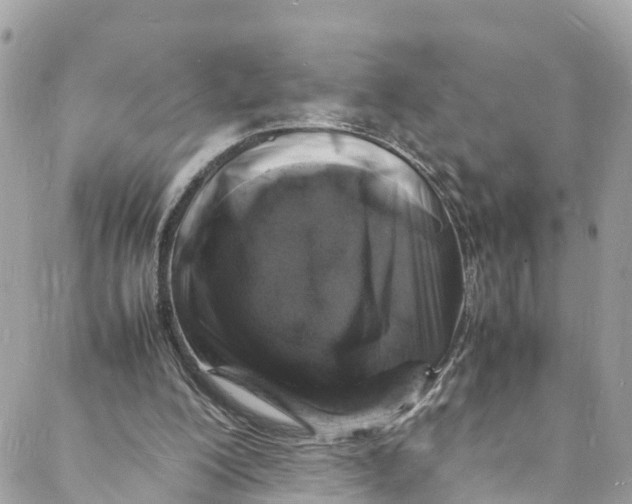 X0000088030200200706011358