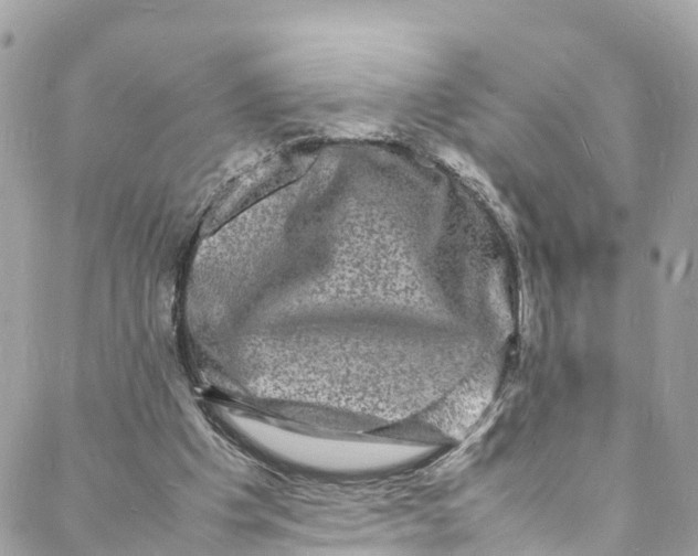 X0000088030201200706011358