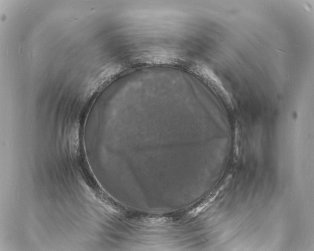 X0000088030202200706011358