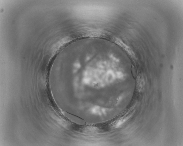 X0000088030203200706011358