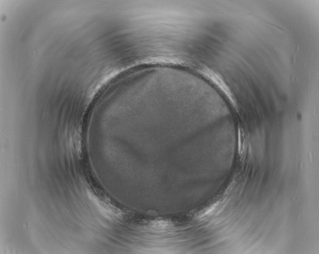 X0000088030204200706011358