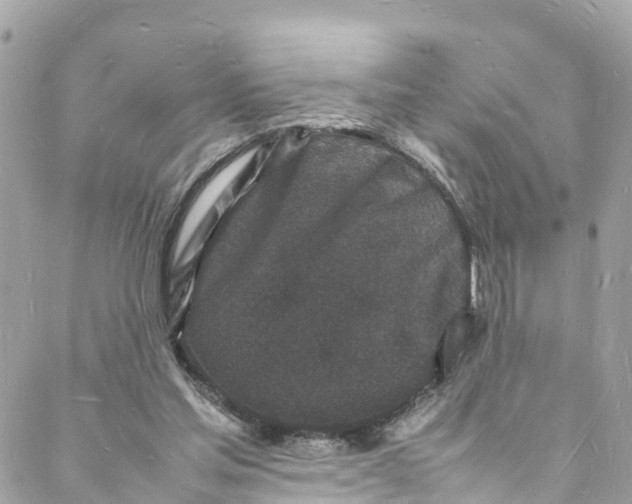 X0000088030205200706011358