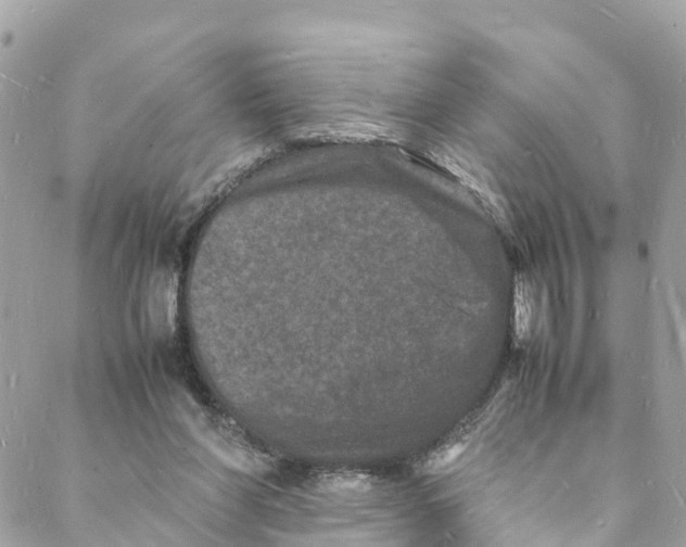 X0000088030206200706011358