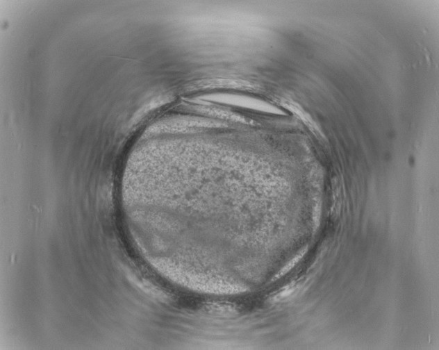 X0000088030207200706011358