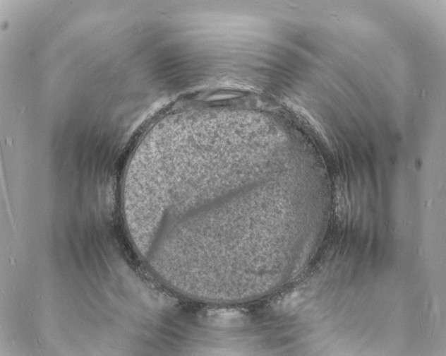 X0000088030208200706011358