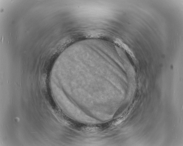 X0000088030209200706011358