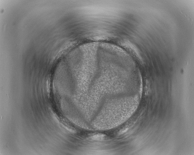 X0000088030210200706011358