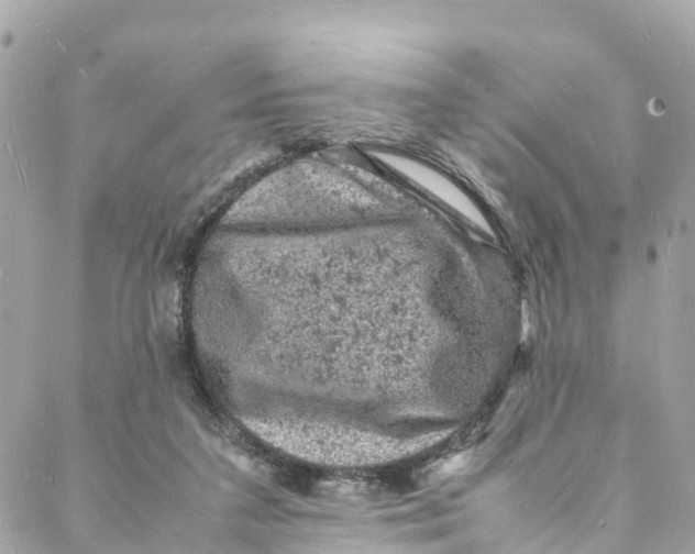 X0000088030211200706011358