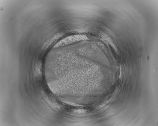 X0000088030212200706011358