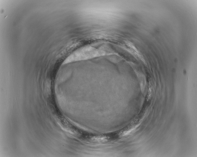 X0000088030213200706011358