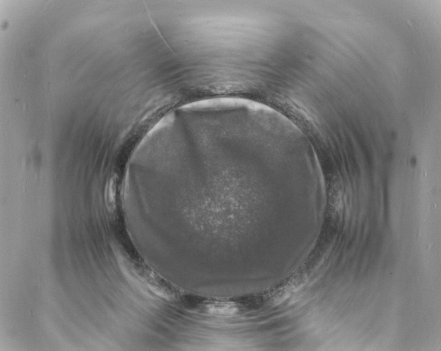 X0000088030214200706011358