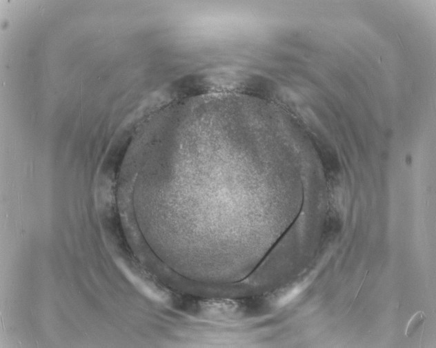 X0000088030215200706011358