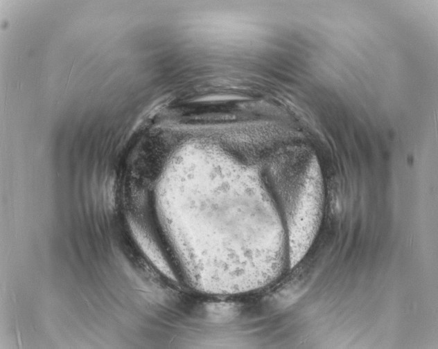 X0000088030216200706011358