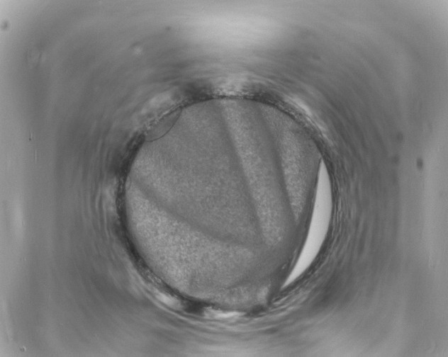 X0000088030217200706011358