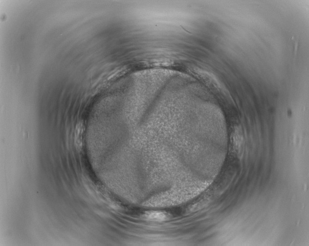 X0000088030218200706011358