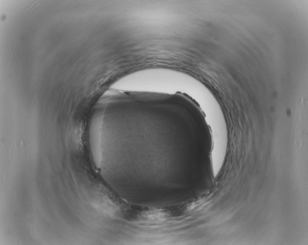 X0000088030219200706011358