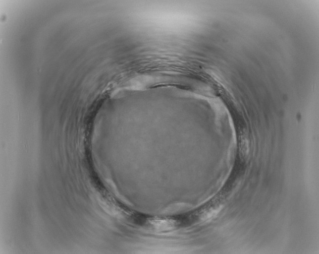 X0000088030221200706011357