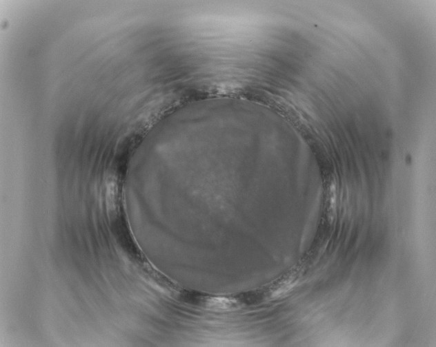 X0000088030222200706011357