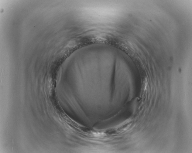 X0000088030223200706011357