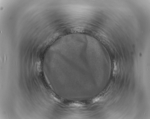 X0000088030224200706011357