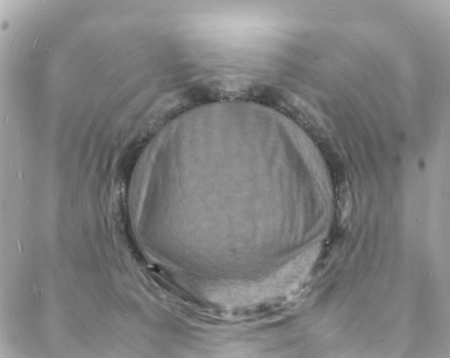 X0000088030225200706011357