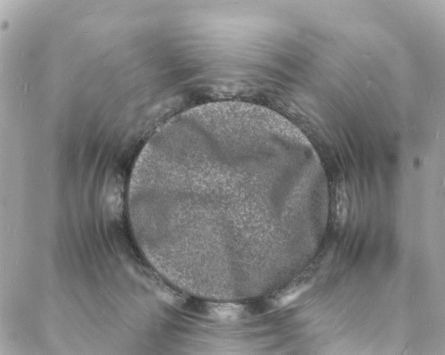 X0000088030226200706011357