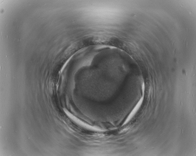 X0000088030227200706011357