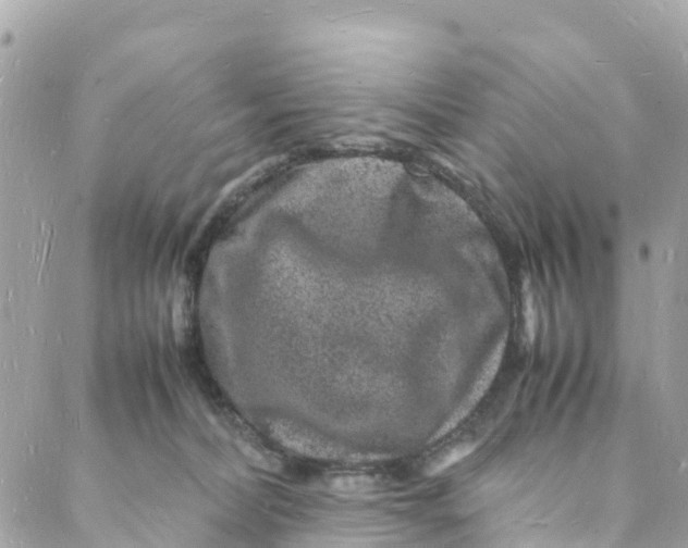 X0000088030228200706011357