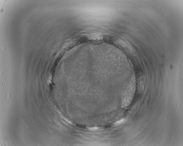 X0000088030229200706011357