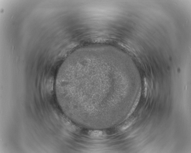 X0000088030230200706011357