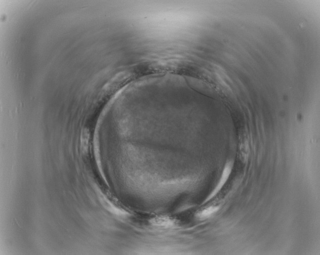 X0000088030231200706011357