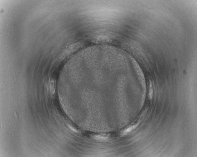 X0000088030232200706011357