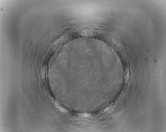 X0000088030233200706011357