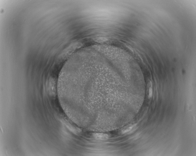 X0000088030234200706011357