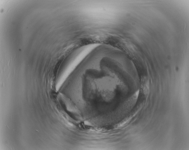 X0000088030235200706011357