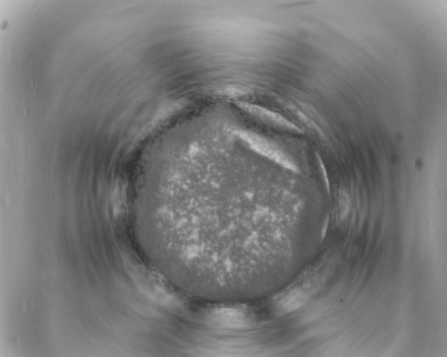 X0000088030236200706011357