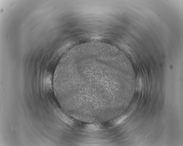 X0000088030238200706011357