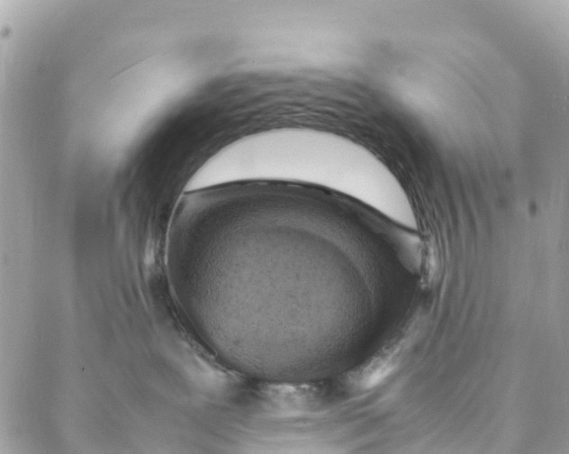 X0000088030239200706011357